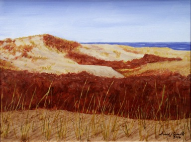 Dunes 1
12" x 16"
acrylic on canvas
©2006
$500*